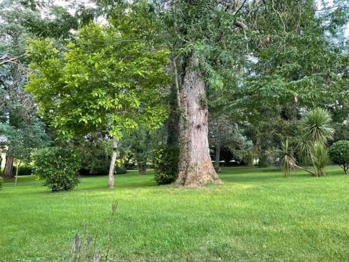 Bed and Breakfast Les Demeures De La Laigne Allas-Bocage Exterior foto