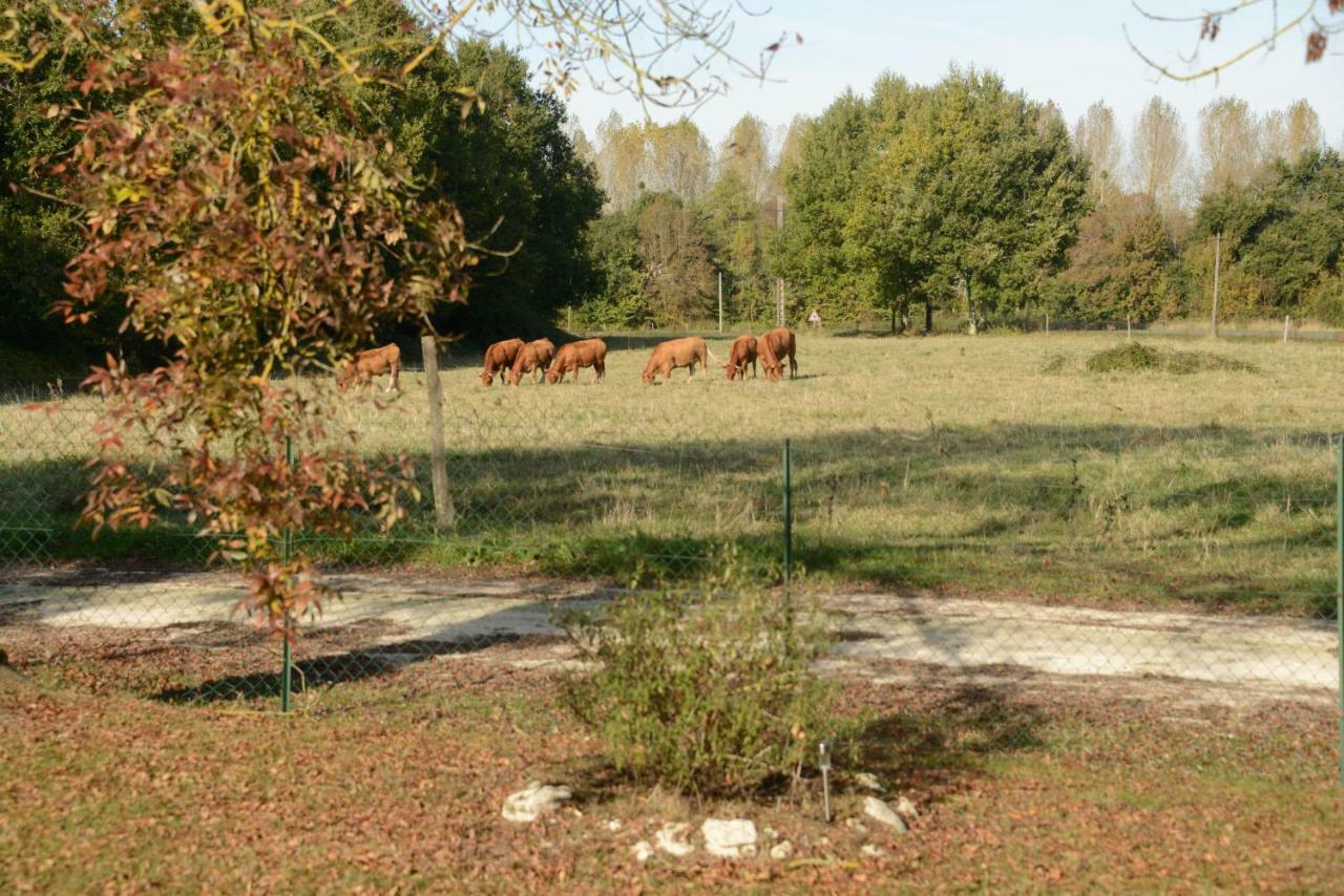 Bed and Breakfast Les Demeures De La Laigne Allas-Bocage Exterior foto
